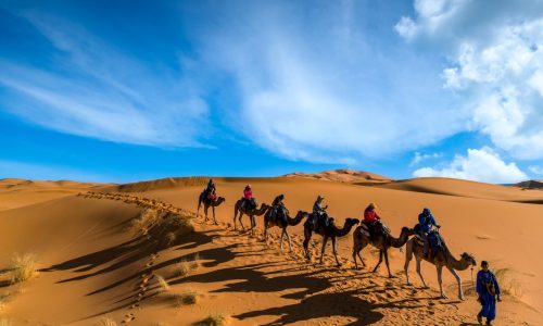 verbliudy-pustynia-turisty-liudi (1)